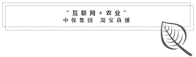 中保農藥1.png